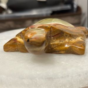 Green onyx turtle 🐢
